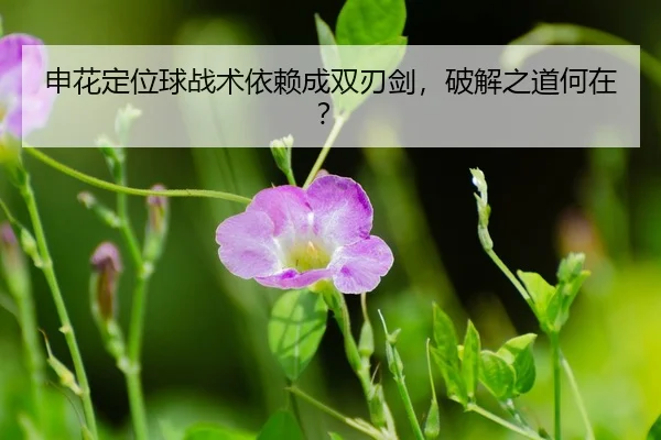 shen-hua-ding-wei-qiu-zhan-shu-yi-lai-cheng-shuang-ren-jian-po-jie-zhi-dao-he-zai-3-303.jpg