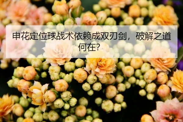申花定位球战术依赖成双刃剑，破解之道何在？