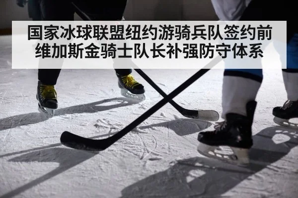 国家冰球联盟纽约游骑兵队签约前维加斯金骑士队长补强防守体系